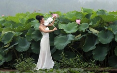 韩三千全章 大结局 目录